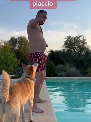 A post by @chri.il.distratto on TikTok caption: Va sempre a finire cosi #neiperte #Love #bear #dadbod #gaytiktok #lgbt🌈