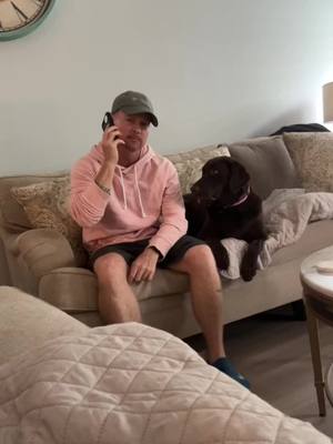 A post by @saleslifecoach on TikTok caption: #chocolatabsoftiktok #dogsoftiktok