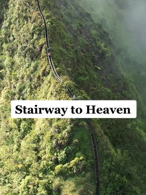 A post by @vincelimm on TikTok caption: Climbing down Stairway to Heaven. This hike can get really vertical, who’s scared of heights? #hawaii #fyp #tiktoktravel #travel #tiktokhawaii #hawaiitiktok