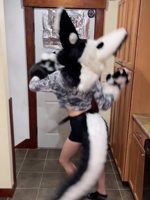 A post by @wolfvenstar on TikTok caption: Tail has all the swish!! #dutchangeldragon #furrymeme #furrydance #furrytrash #furrypride #furrytiktok #wolfvenstar @wolfvencomet discord in bio :D