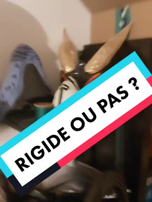 A post by @zim_furry_cosplay on TikTok caption: Réponse à @amidesamimaux Ça aurait peut du rester secret 😂 #dinomask #furry #furryfandom