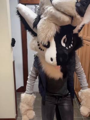 A post by @wolfvenstar on TikTok caption: The anticipation #dutchangeldragon #furrymeme #furrydance #furrytrash #furrypride #furrytiktok #wolfvenstar @wolfvencomet Discord in bio link tree ;)