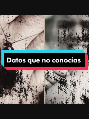 A post by @lunaticus_horror on TikTok caption: Datos que no conocías #datos #terror