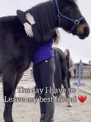 A post by @wonder_and_me18 on TikTok caption: I cant do it💔💔 #leasehorse #hearthorse #bestfriend #foryou #pleaseno #horses #mare #equestrian #nothingscaresmeanymore