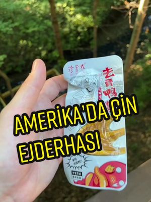 A post by @ulasaksoyy on TikTok caption: AMERİKA’DA KUSTURAN YEMEK !!! #tiktoktürkiyeailesi #ulasaksoyy #benikeşfetealirmisintiktok