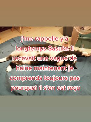 A post by @pekoshousewife on TikTok caption: j'ai jamais compris