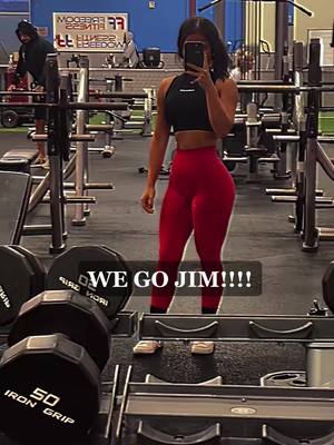 A post by @imdanamichelle on TikTok caption: #gym #fitness #alphalete