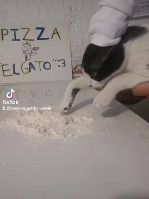 A post by @tambien_gatito_kawaii on TikTok