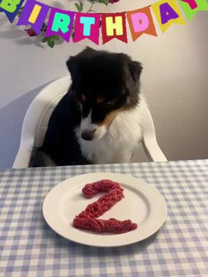 A post by @dannywoof on TikTok caption: Alles Gute zu meinem besten Freund Danny ❤️ #dogsoftiktok #australianshepherd #birthday #birthdayboy #dogs #happy #happydog #fy #fyfyfyfy #sweet