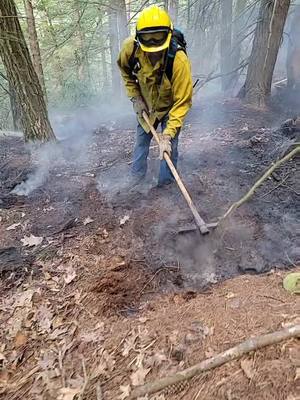 A post by @ass_chief_benedict on TikTok caption: #brush #brushfire #fire #firefighter #fyp #dig #shovel #trees #forest #firefighting #fireman #hose #firetruck #firefighters #firehouse