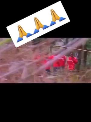 A post by @lalionne0958 on TikTok caption: #😇🙏🙏🙏 #🇦🇴🇦🇴🇲🇫 #