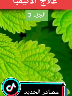 A post by @slam.fmm on TikTok caption: #foryoupage #foryourpage #سوريا_تركيا_العراق_السعودية_الكويت #follow #المغرب🇲🇦تونس🇹🇳الجزائر🇩🇿 #الصحة_لاتقدر_بثمن #viral #flypシ #flyp #اوربا_المانيا_النمسا_هولند_السويد #foryou #اوربا_الخليج_العالم ##امريكا_نيويورك_الولايات_المتحده