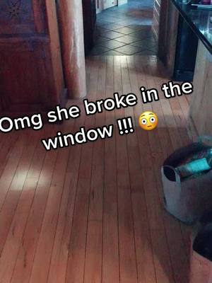 A post by @kaybabysgrowparty on TikTok caption: Omg she broke into the basement window! Send help ! This bit crazy !!! 😳