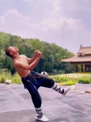 A post by @kongfulife on TikTok caption: @Faucet falls Shaolin kongfu#kungfu #shaolinkungfu👊 #fyp