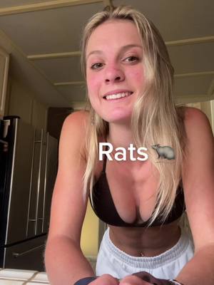 A post by @kellitrexel on TikTok caption: the best kind of rats 🤣