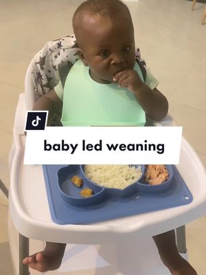 A post by @dequilaville on TikTok caption: I love to see how they respond to different foods. #babyledweaning #10monthsold #boytwins #babymeals