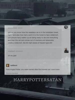 A post by @harrypottersatan on TikTok caption: and it wouldve been a better name than ‘Albus Severus’ #harrypotter #hp #marauders #goldenera #goldentrio #minervamconagall #hogwarts #hermionegranger #ronweasley #weasley