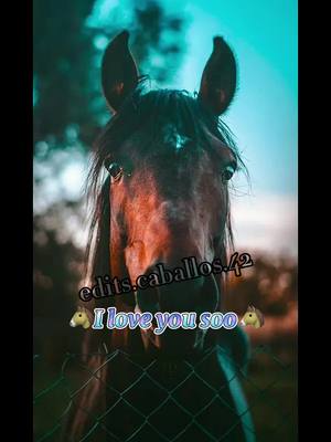 A post by @edits.caballos.42 on TikTok caption: #CapCut  #CapCut  #❤️🐴 #paratipage #foryupage estoy de regreso 👋🏻😅