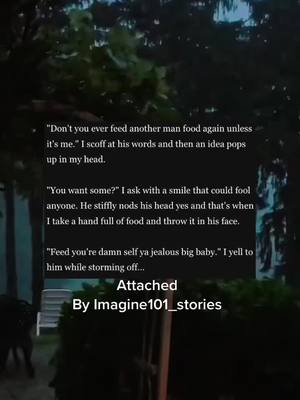 A post by @imagine101_stories on TikTok caption: I fucking love her. #wattpad #BookTok #story #book #Attached #badass #woman #jealous #food  #greenscreenvideo