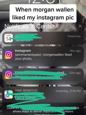 A post by @annmariexiques on TikTok caption: Basically my reaction #fyp #morganwallen @morganwallen