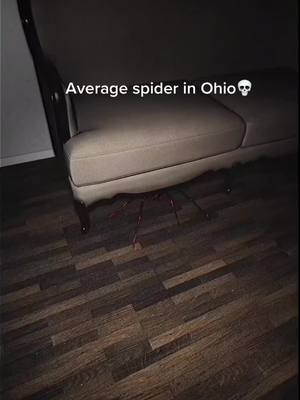 A post by @danyzila19 on TikTok caption: Wtf is happening in ohio #ohio