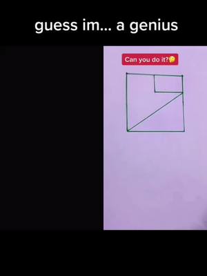 A post by @a.p.e.r.s.o.n001 on TikTok caption: #duet with @LK