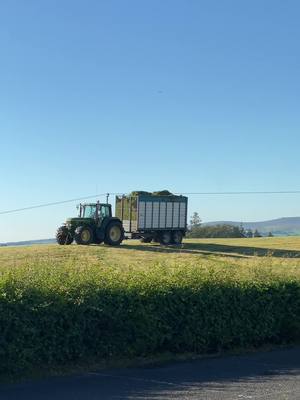 A post by @melvin_doak on TikTok caption: Grass Fever!🌱🌅 #lynchcontracts #silage2022 #grass #agriculture #johndeere #6910s