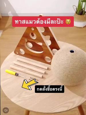 A post by @petdump on TikTok caption: ลูกบอลฝนเล็บแมว ดึงดูดความสนใจ ไม่ทำร้ายโซฟาในบ้าน #โซฟา #แมวน่ารัก #ของเล่นแมว #น้อนแมว