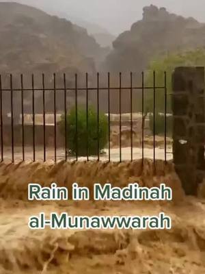 A post by @sunniofficialtiktok on TikTok caption: This video shows strong rain falling down in Uhud. One day it rained in Madinah so the Prophet ﷺ lifted his garment until the drops of rain touched his blessed body. When asked why — he replied, 'It is newly from my Lord.'Rasulallah ﷺ pointed towards the mountain of Uhud and said, 'If I had gold the size of Uhud — I would distribute it out to Allah's creation...' and he said, 'Uhud loves us and we love it!' #Fyp #Madinah #ProphetMuhammad #Rain