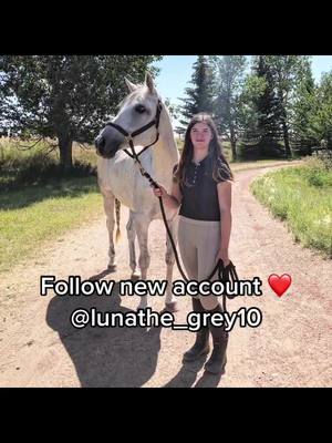 A post by @wonder_and_me18 on TikTok caption: Welcome home luna!! @lunathe_grey10 follow to see our journey together :) #fyp #foryou #foryoupage #horse #newhorse #welcomehome #grey #mare #luna #equestrian #mynewfriend #horsesoftiktok #follow #newlife #newaccount #horses 