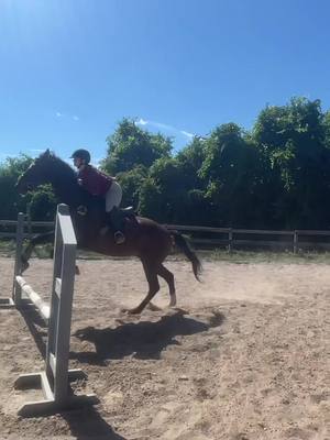 A post by @18equestrian on TikTok caption: Lenny standing there as if I didn’t just go overboard.  Ok this is the last time i’ll post this video for now.