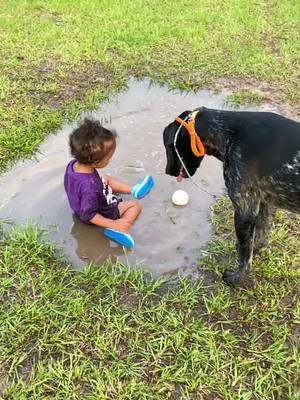 A post by @zayyyy_23 on TikTok caption: #bestfriendsforever #girlandherdog #playingoutside #louisianagirl #fyp 