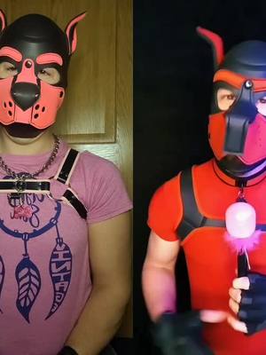 A post by @bastionbuffpup on TikTok