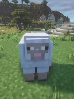 A post by @itsakash101 on TikTok caption: Guess this song:🐑🐑#minecraft