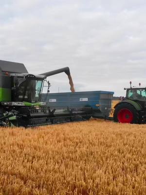 A post by @offaly_agri_photography on TikTok caption: Doesn’t get much better 👌🏻😎 #grain #fendt #kane #silage #tillage #straw #atkins 