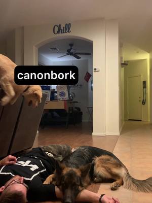 A post by @max.and.murph on TikTok caption: Best video ever.