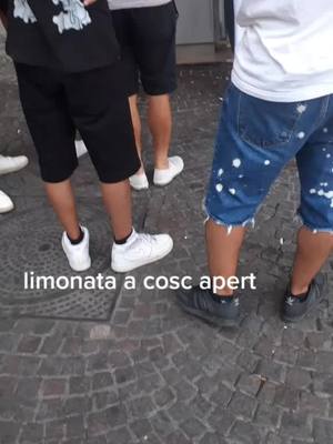 A post by @mariacastaldo23 on TikTok caption: #limonataviatoledopiazzaplebiscito ####tiktokvirale