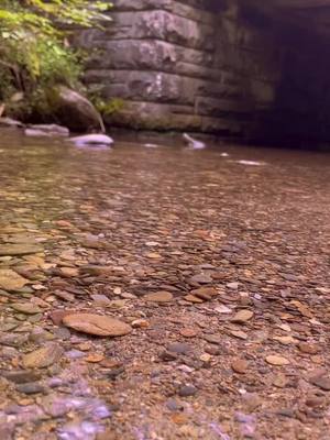 A post by @domtoplezzy on TikTok caption: The Great Smoky Mountains #moutains #travel #hike 