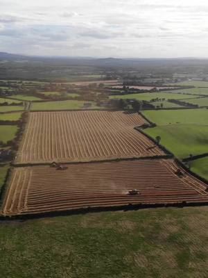 A post by @offaly_agri_photography on TikTok caption: Some view 👌🏻 #newholland #masseyferguson #tillage #springbarley #straw #silage #2022 #fyp 