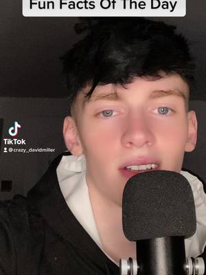 A post by @crazy_davidmiller on TikTok caption: The audio got removed #fyp #4yp #xyzbca #sexual #facts #funfacts #women 