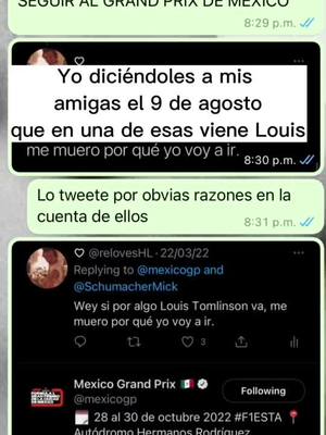 A post by @three_bananasforaeuro on TikTok caption: Yo vi esto venir #louistomlinson #onedirection #f1 #fyp #foryou 