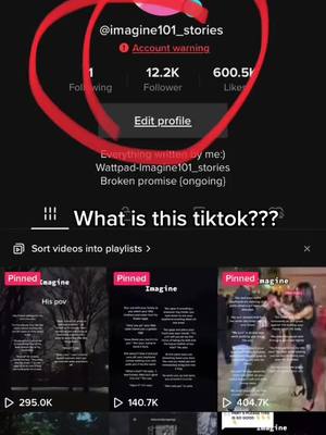 A post by @imagine101_stories on TikTok caption: I better not get banned, someone tell me what this shi means.  