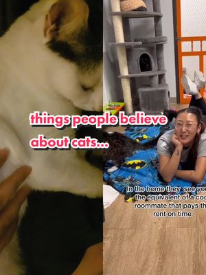 A post by @ashiandfrida on TikTok caption: #duet with @thecatterycc so true! ❤️🤗🐈🐈‍⬛ #ashiandfrida #catmyths #GenshinTeleport #richpeoplevshappypeople #PartyWithVMAs #kittycat  #happypeople #meaningoflife #kittycat