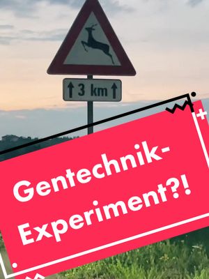 A post by @tomeder on TikTok caption: OMG, welches Pferd kann denn SOWAS 😵😱 #dieeinzigwahrenlifehacks #pferd #verkehrszeichen #gentechnik #verarsche #biologie #natur #autofahren #omg 