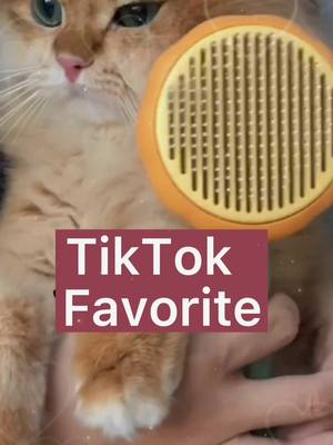 A post by @zyjxcm8 on TikTok caption: #dogs #tiktok #cat #p#pyfツ 