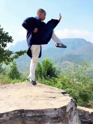 A post by @kongfulife on TikTok caption: How long do you think it will take to practice this set of QiXing boxing?#kungfu #shaolinkungfu👊 #fyp #respect