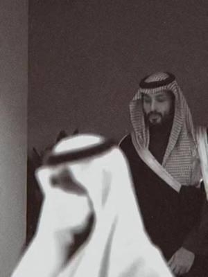 A post by @t.alsultan on TikTok caption: #ميلاد_ولى_العهد ,,, #محمد_بن_سلمان #riyadh  #fypシ 