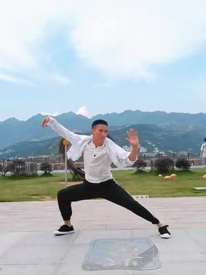 A post by @kongfulife on TikTok caption: Do you see what kind of boxing it is?#kungfu #shaolinkungfu👊 #ReTokforNature