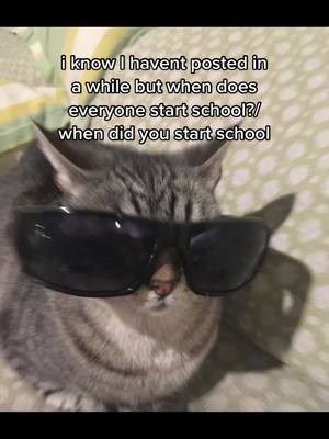 A post by @luvrainsdiary on TikTok caption: i start september 6, which is a little earlier than usual #backtoschool #lgbtq #lesbian #cats 