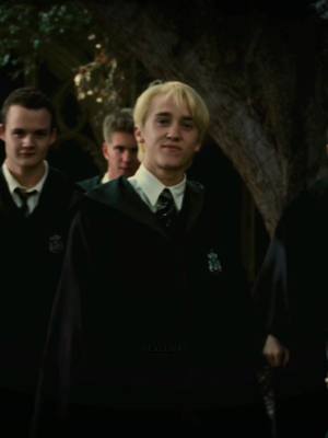 A post by @fayesfilmz_ on TikTok caption: idk what possessed me to edit him. #dracomalfoy #harrypotter #gobletoffire #hpgof 